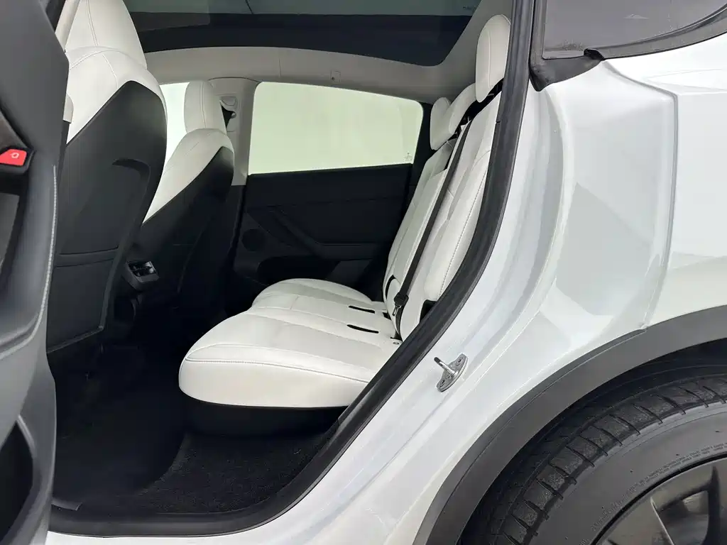 Tesla Model Y — миниатюра 17