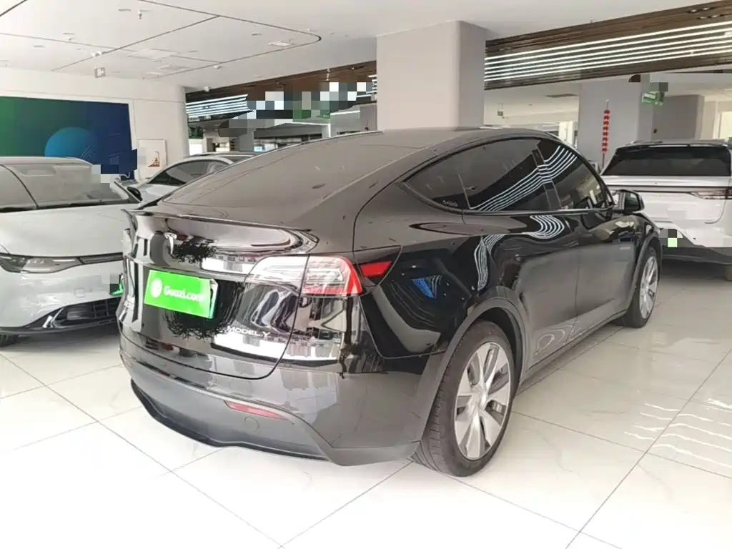 Tesla Model Y — миниатюра 7