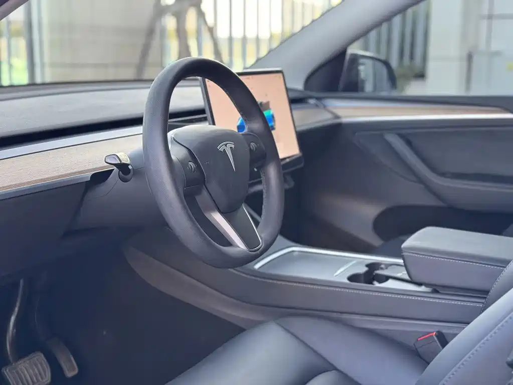 Tesla Model Y — миниатюра 5