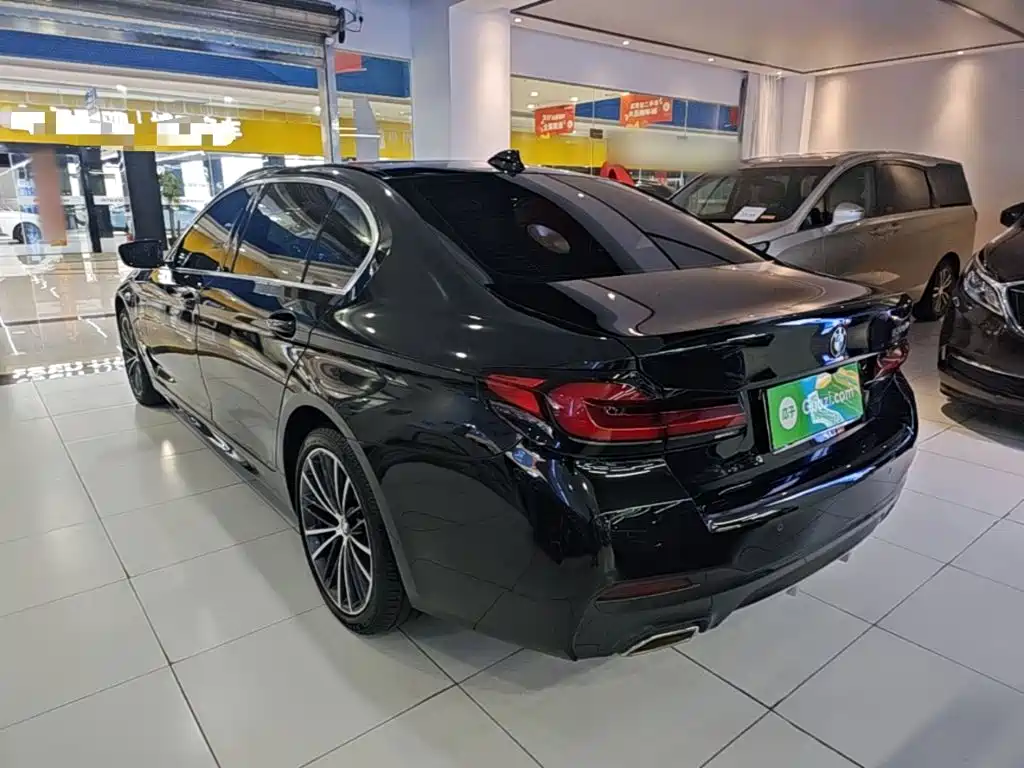 BMW 5 Series — миниатюра 5