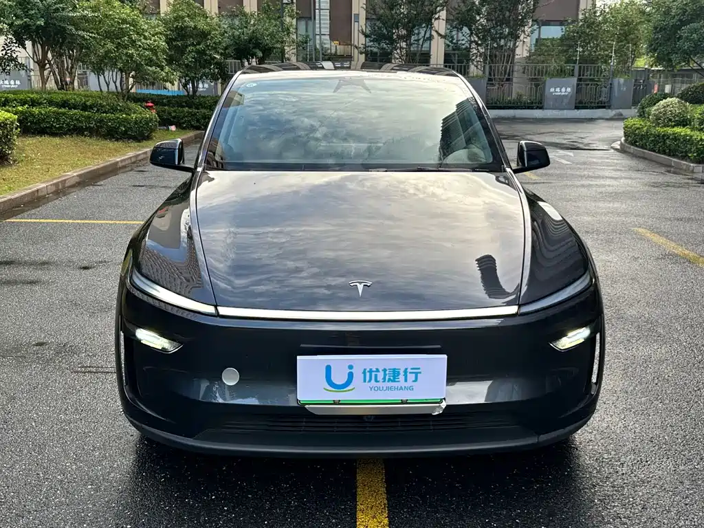 Tesla Model Y — миниатюра 2