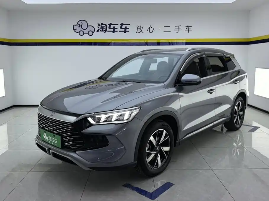 BYD Pro New Energy