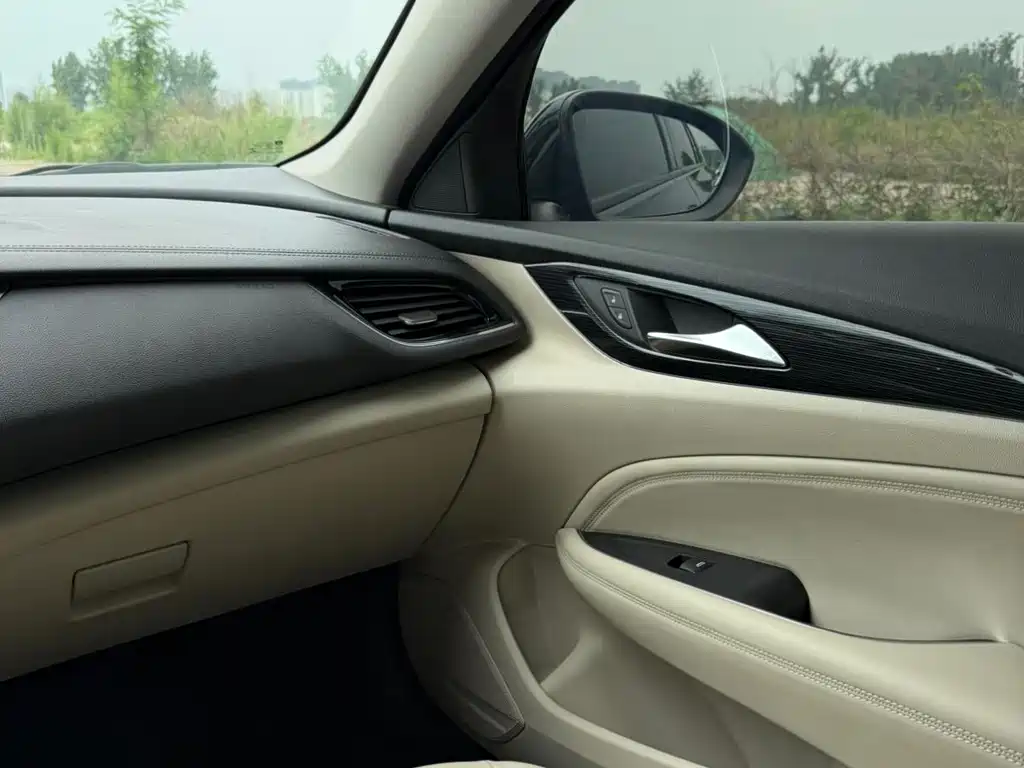 Buick Regal — миниатюра 10