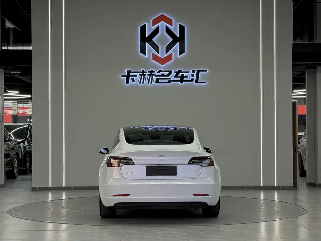 Tesla Model 3 — миниатюра 7