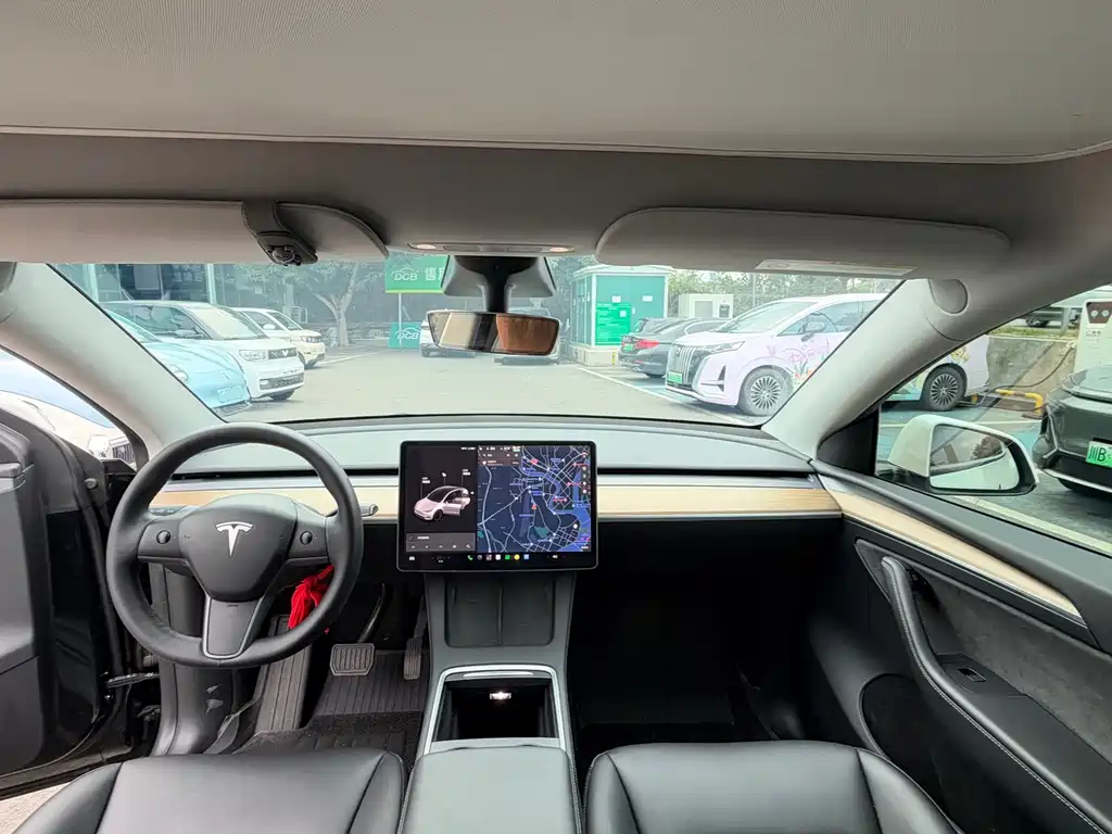 Tesla Model Y — миниатюра 6