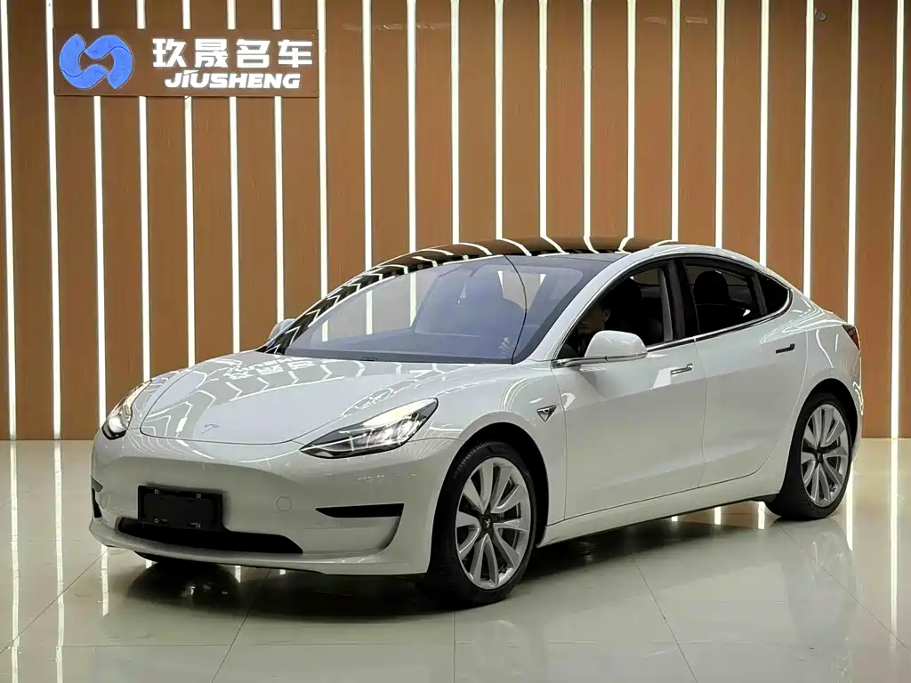 Tesla Model 3 2021