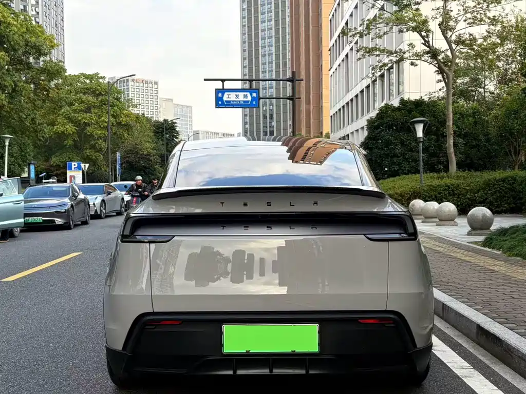 Tesla Model Y — миниатюра 10