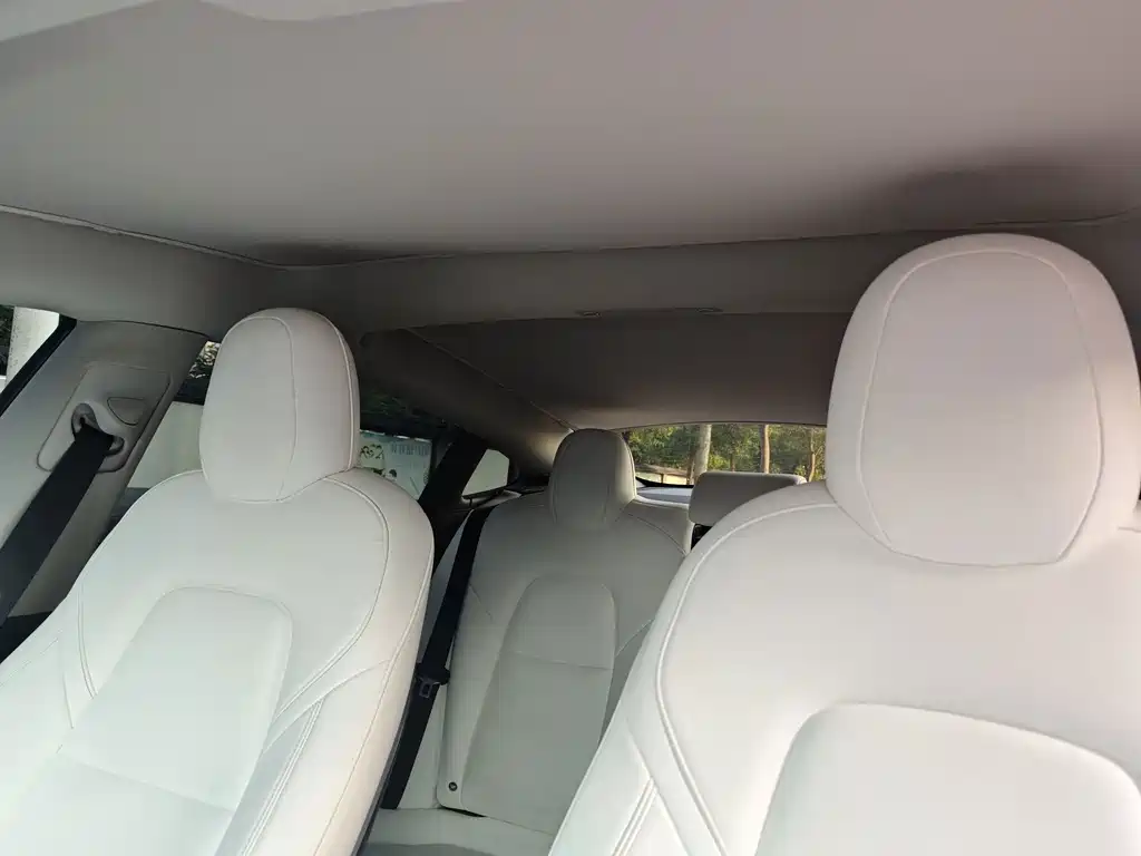 Tesla Model 3 — миниатюра 8