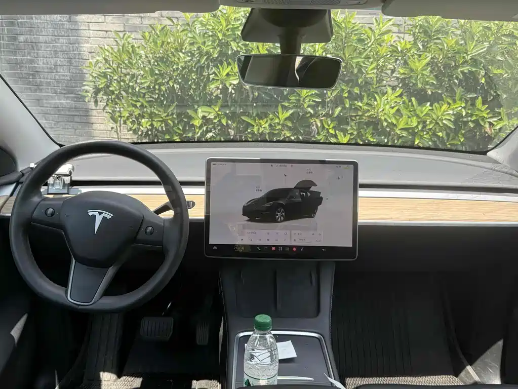 Tesla Model Y — миниатюра 15