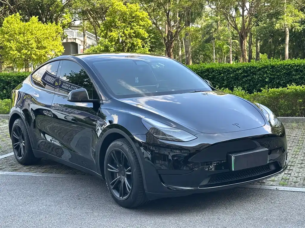 Tesla Model Y — миниатюра 3