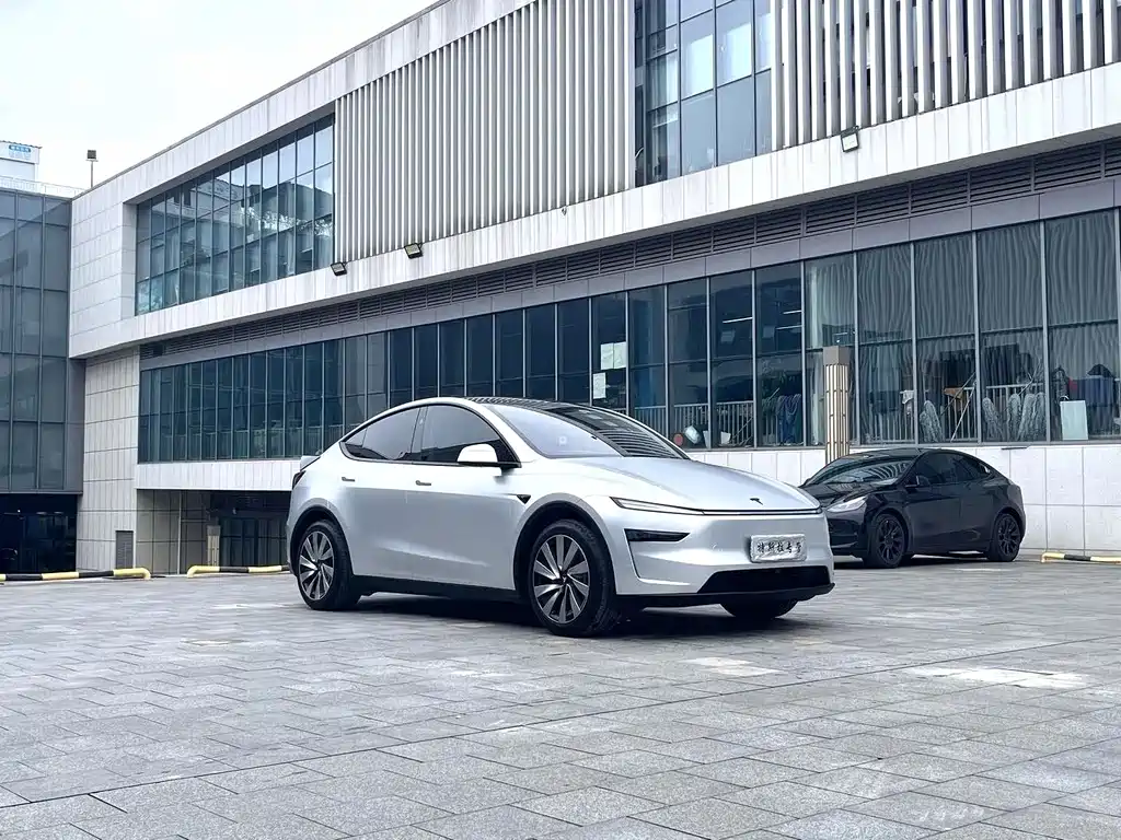 Tesla Model Y — миниатюра 2