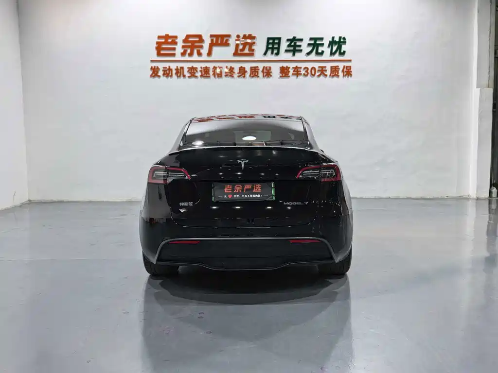 Tesla Model Y — миниатюра 9