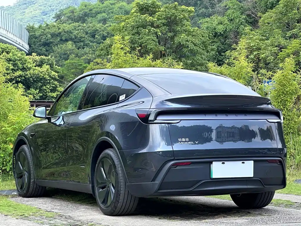 Tesla Model Y — миниатюра 6