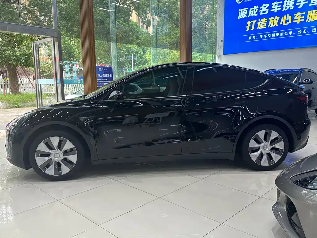 Tesla Model Y — миниатюра 8