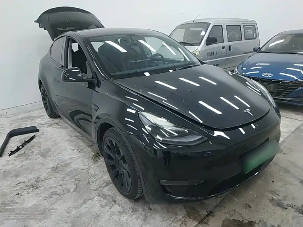 Tesla Model Y — миниатюра 4