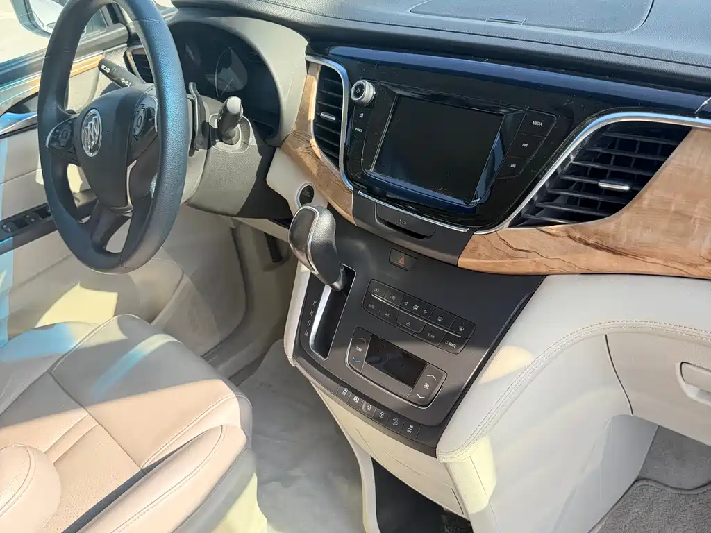 Buick GL8 — миниатюра 15