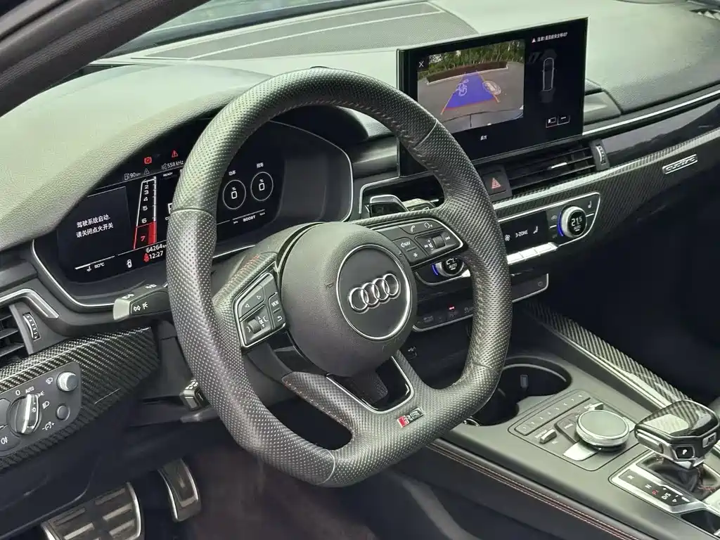 Audi RS 4 2020 RS 4 2.9T Avant