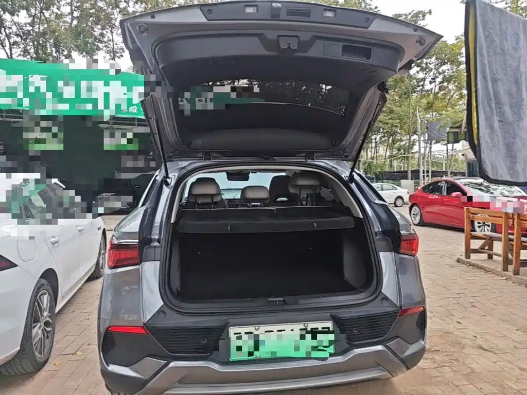 BYD Yuan Plus — миниатюра 19