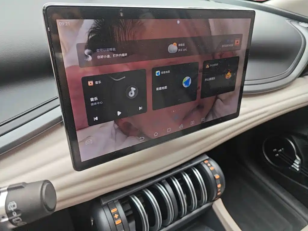 BYD Yuan Plus — миниатюра 13