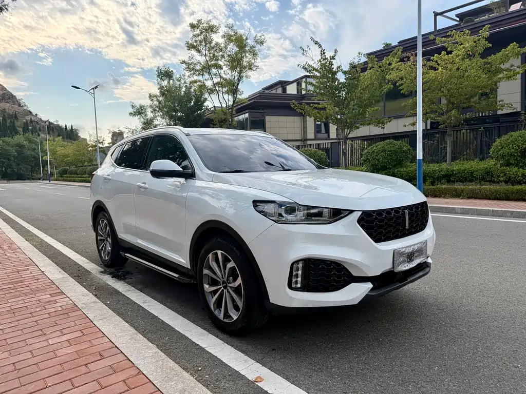 Wey Wey VV6 — миниатюра 3
