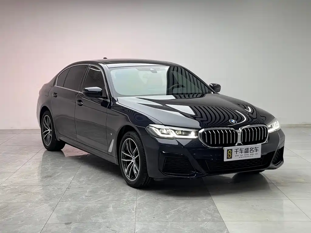 BMW 5 Series — миниатюра 3