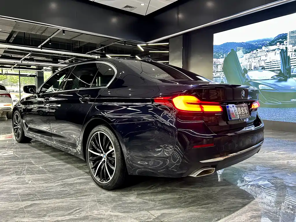 BMW 5 Series 5 2021 530Li Premium Luxury
