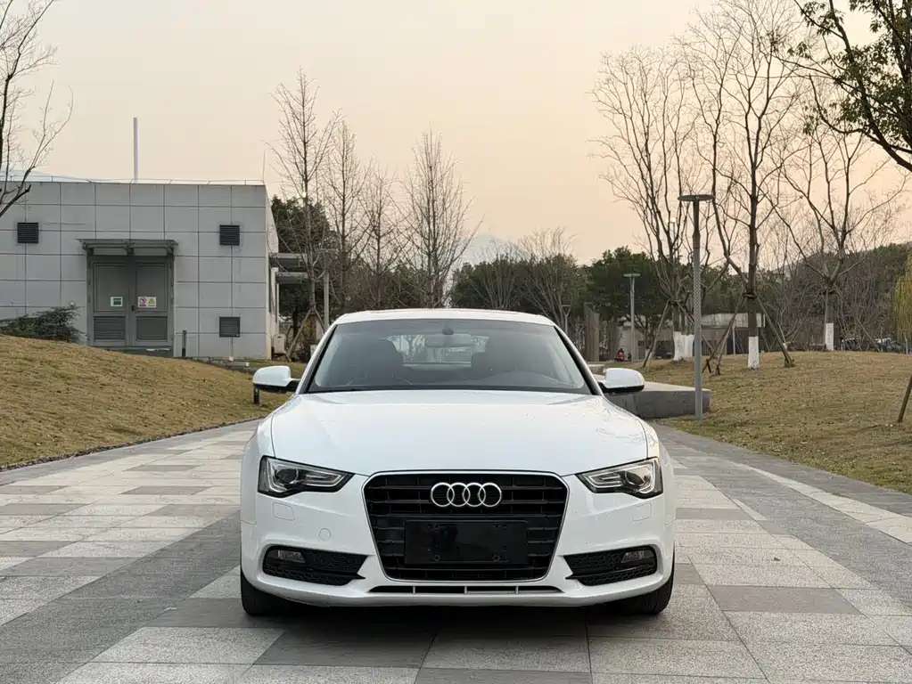 Audi A5 (Import) — миниатюра 2