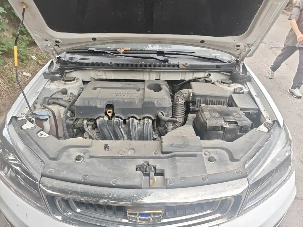Geely Emgrand — миниатюра 16