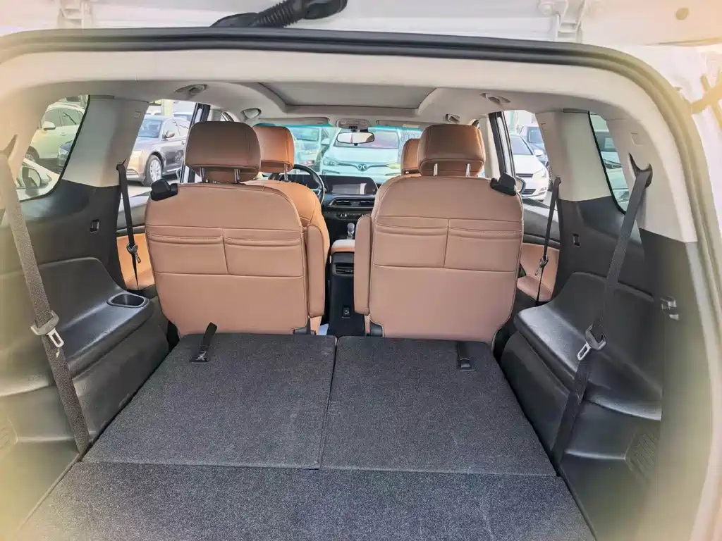 Buick GL6 — миниатюра 5