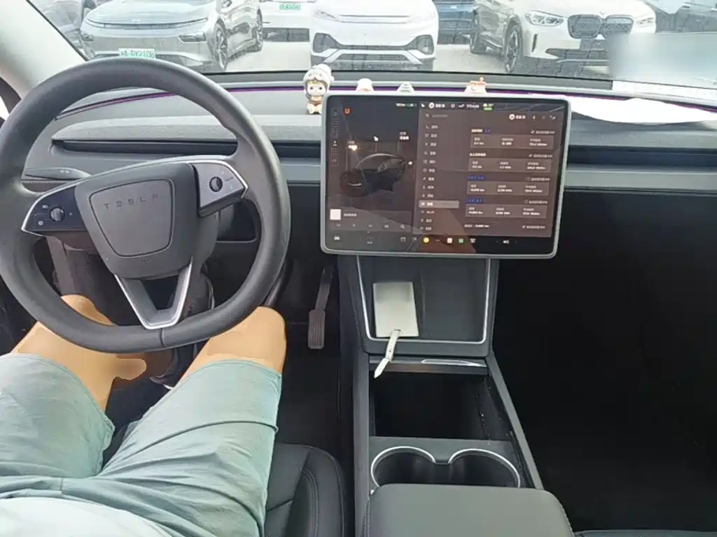 Tesla Model Y — миниатюра 10