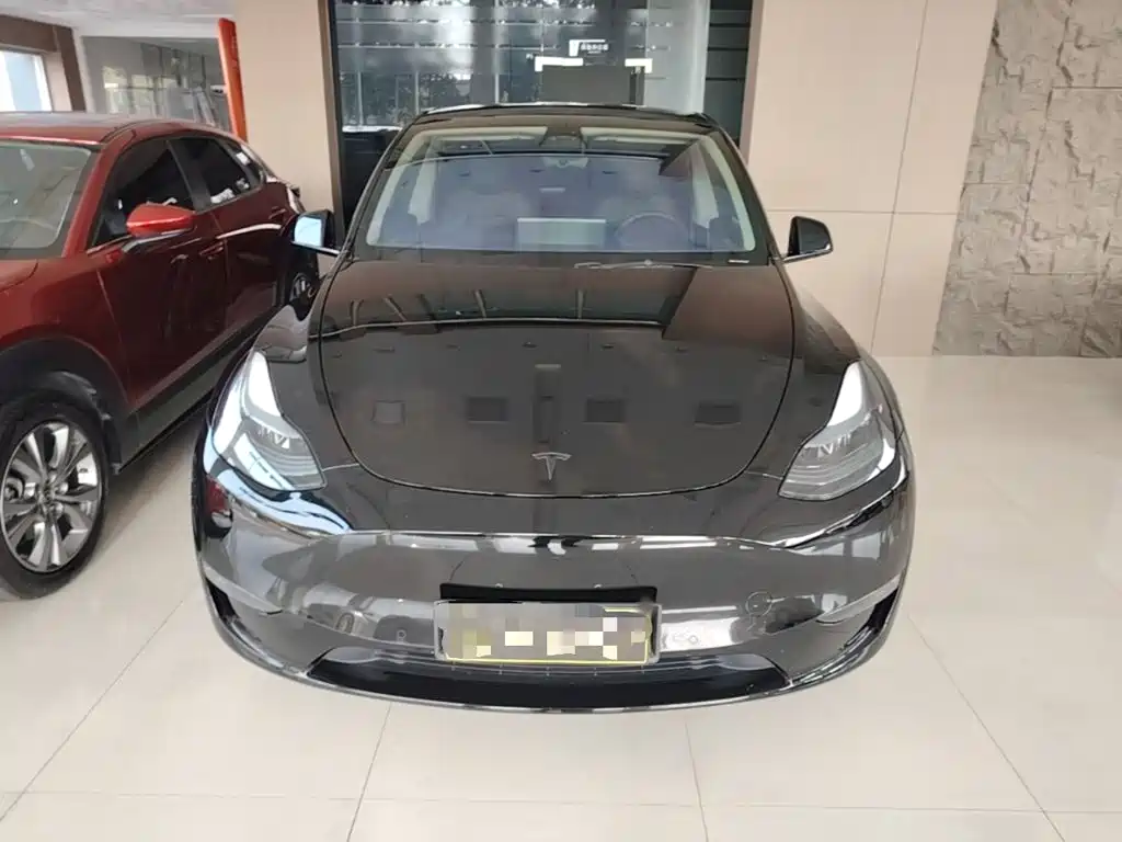 Tesla Model Y — миниатюра 3