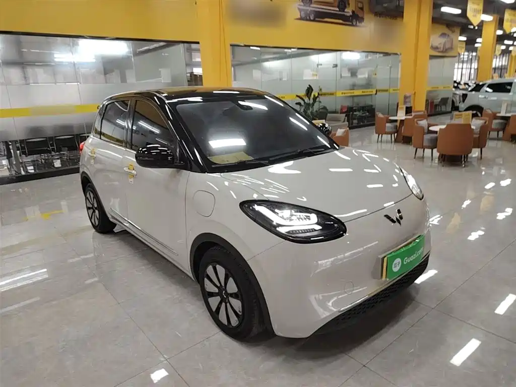 Wuling Binguo 2023 333km +