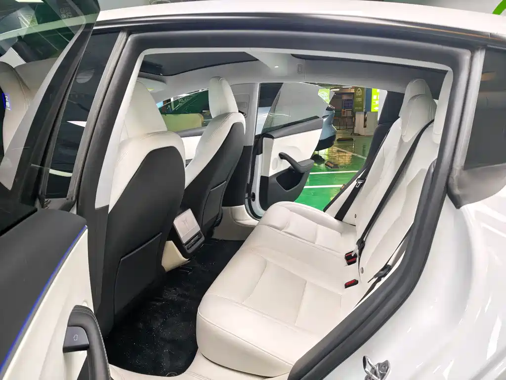Tesla Model 3 — миниатюра 11