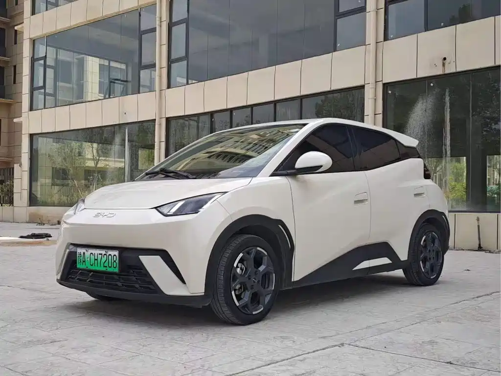 Byd Seagull 2024