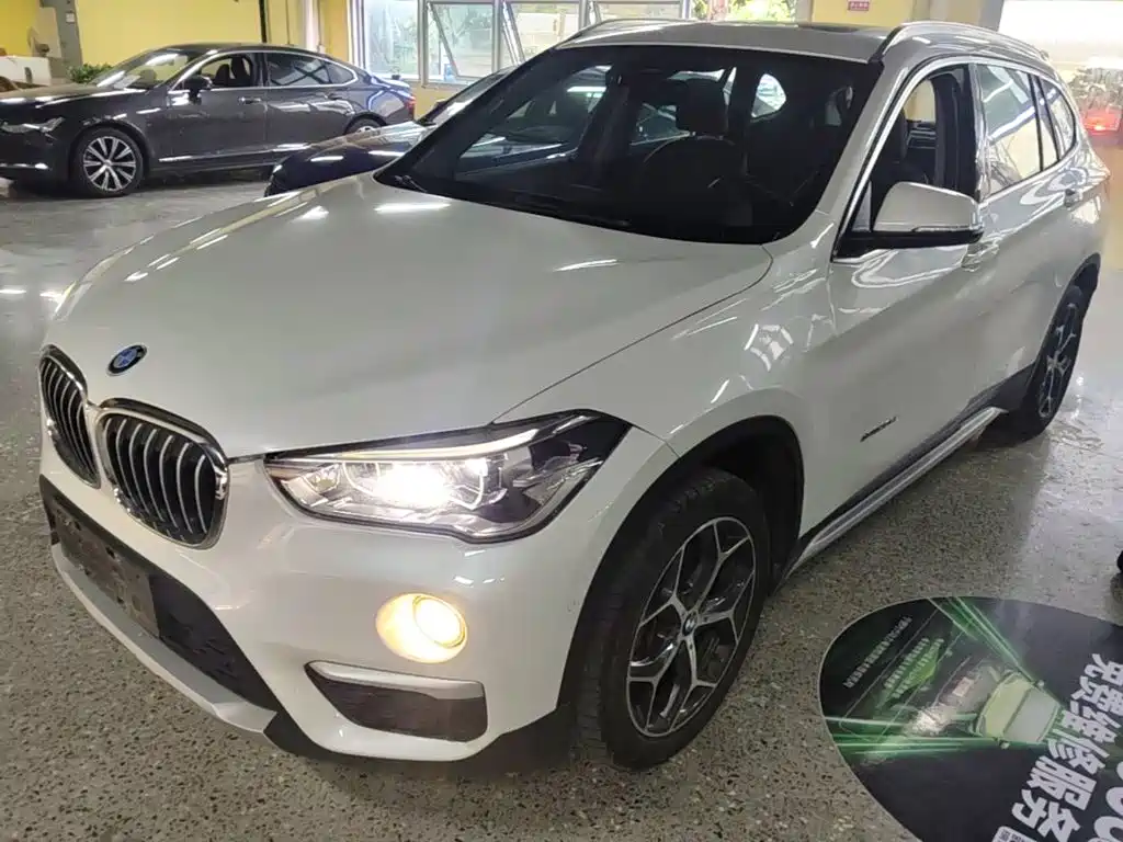 BMW X1 — миниатюра 2