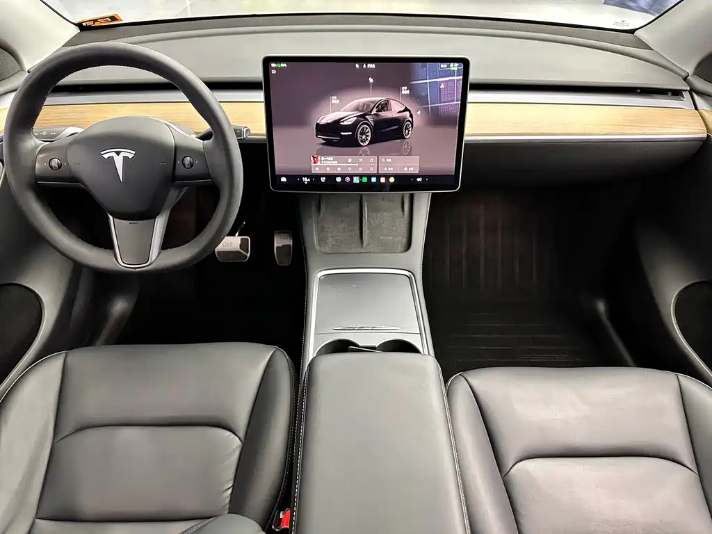 Tesla Model Y — миниатюра 9