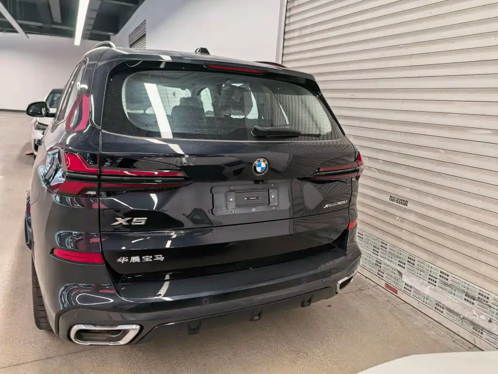 BMW X5 — миниатюра 2