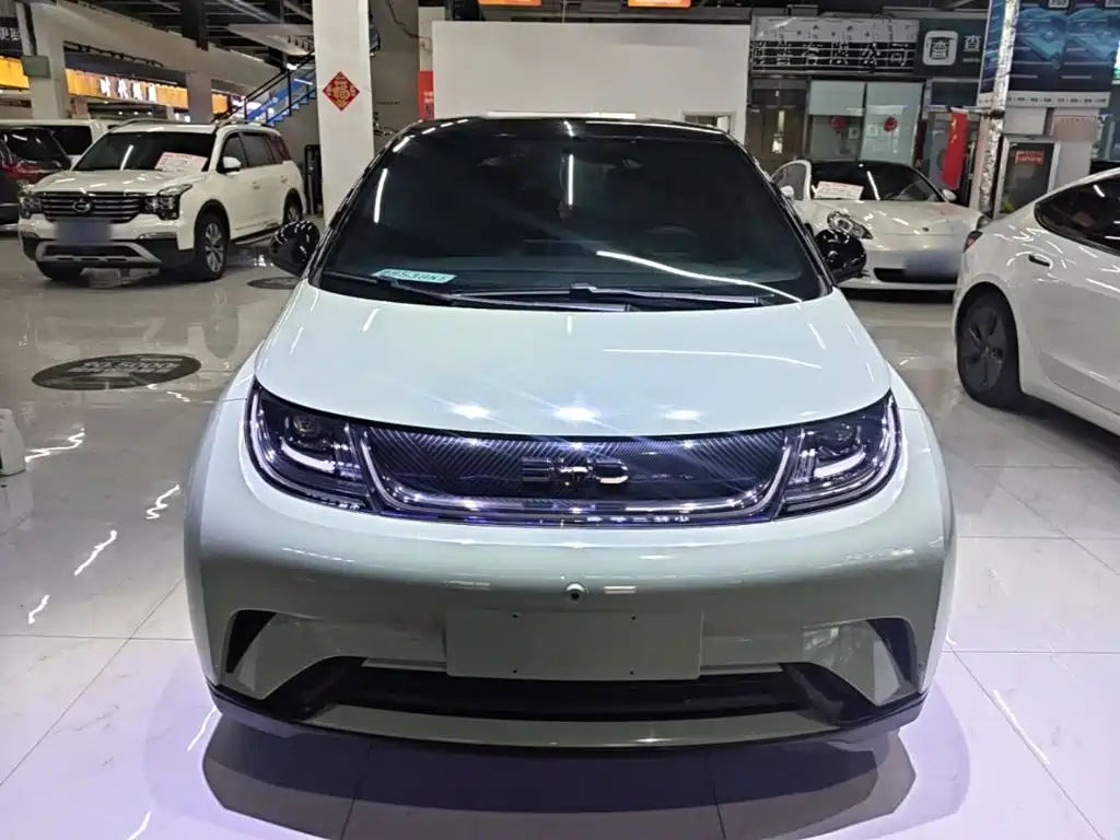 BYD Dolphin — миниатюра 3