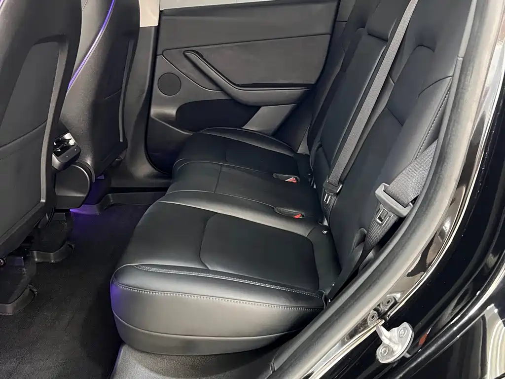 Tesla Model Y — миниатюра 12