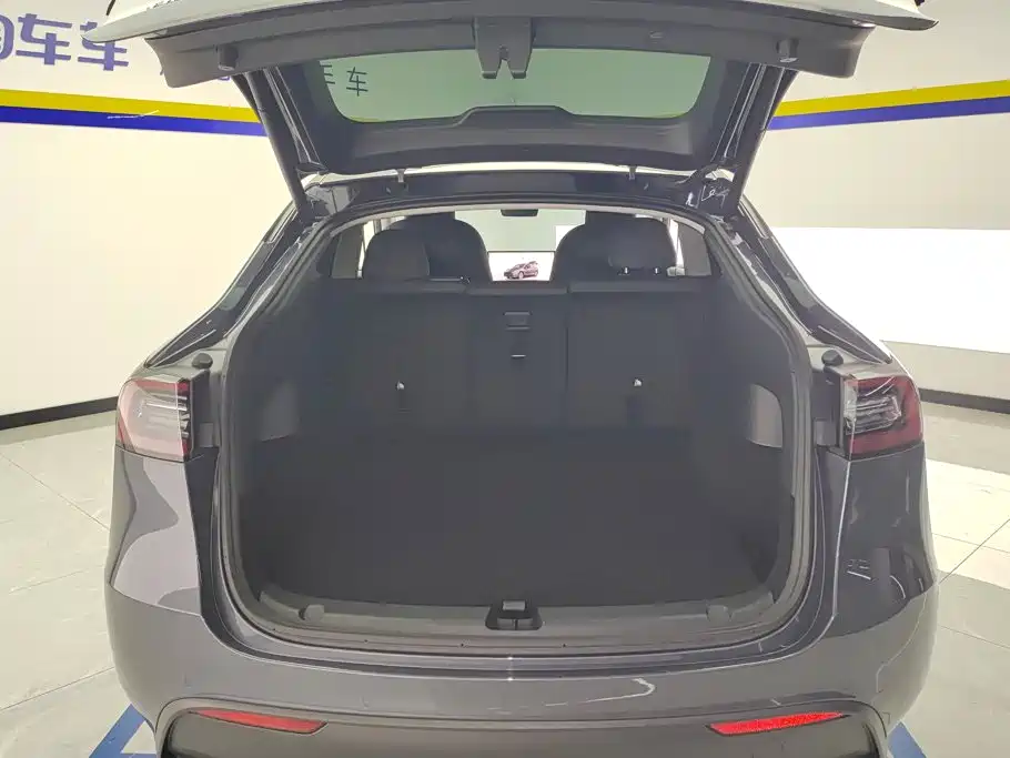 Tesla Model Y — миниатюра 4