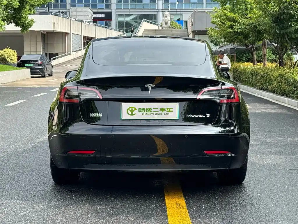 Tesla Model 3 — миниатюра 4