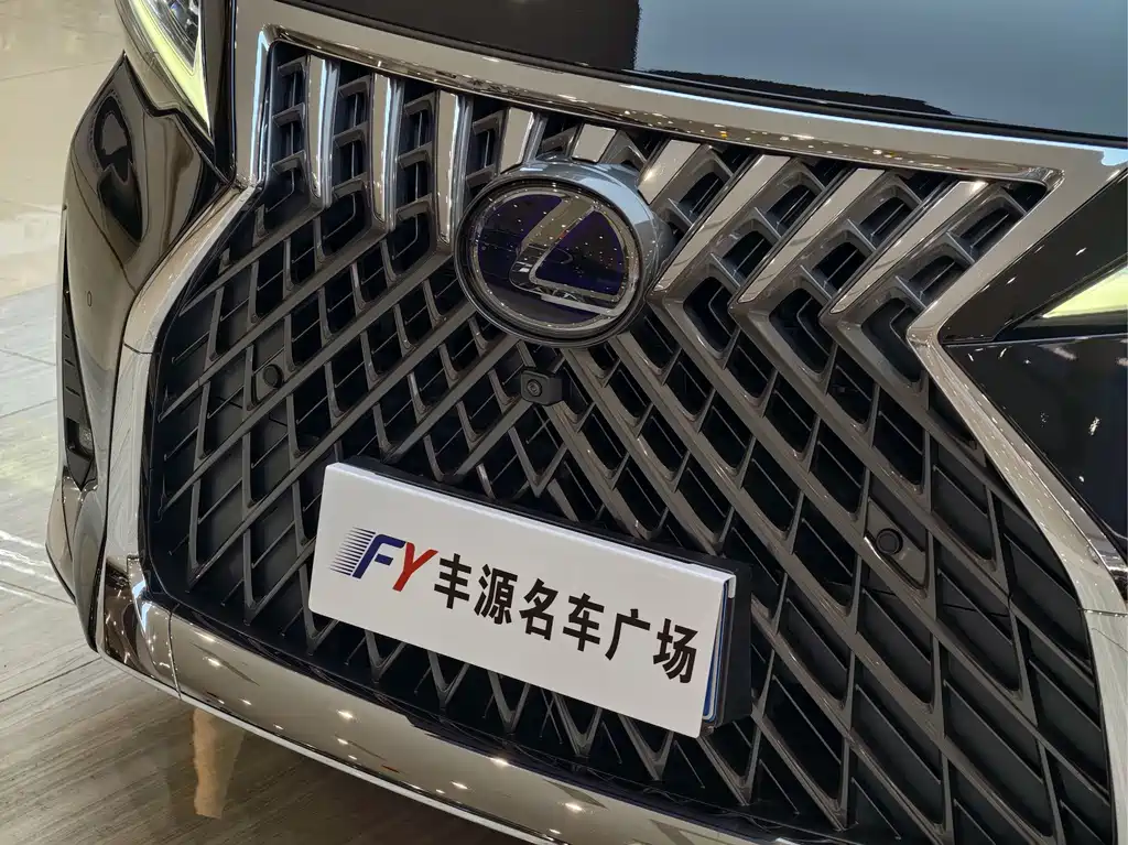 Lexus LM — миниатюра 27