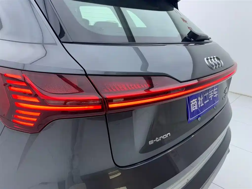 Audi e-tron 2021 50 quattro Luxury