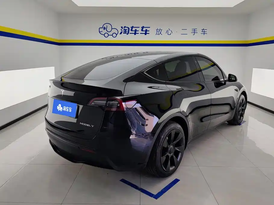 Tesla Model Y — миниатюра 3