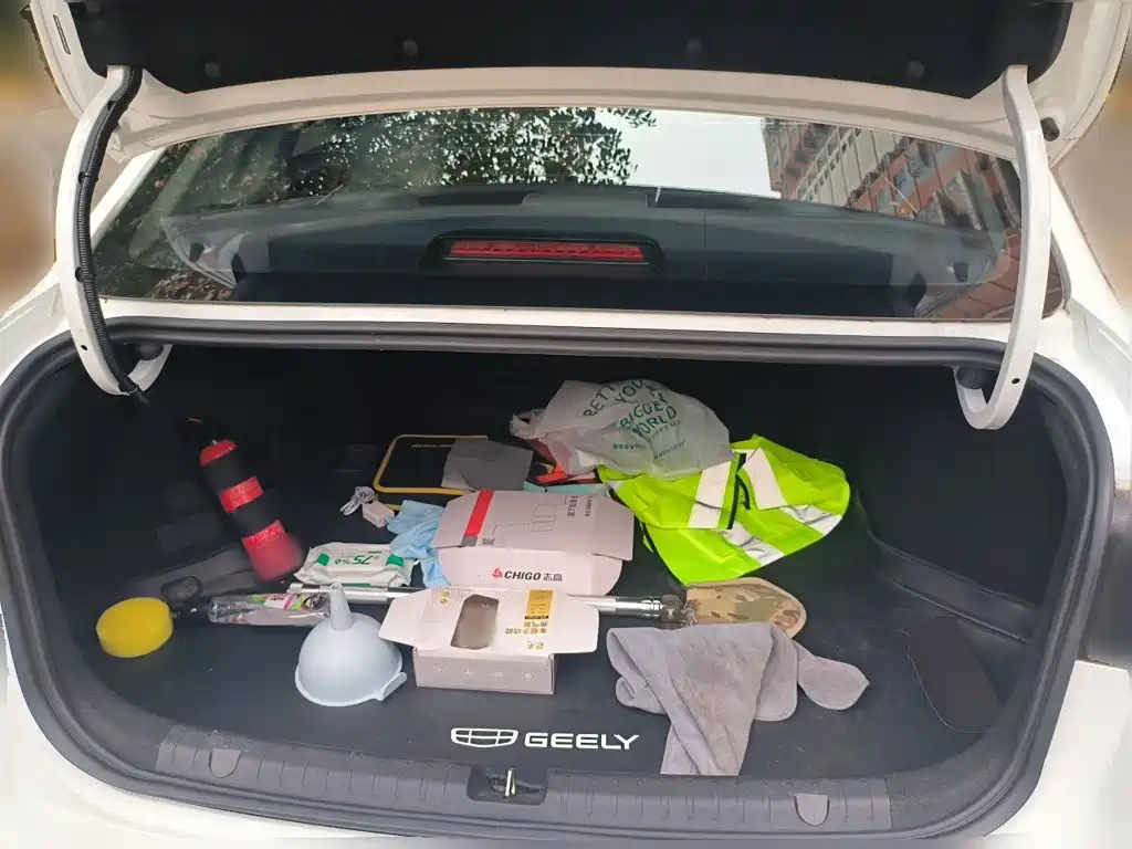 Geely Emgrand — миниатюра 15