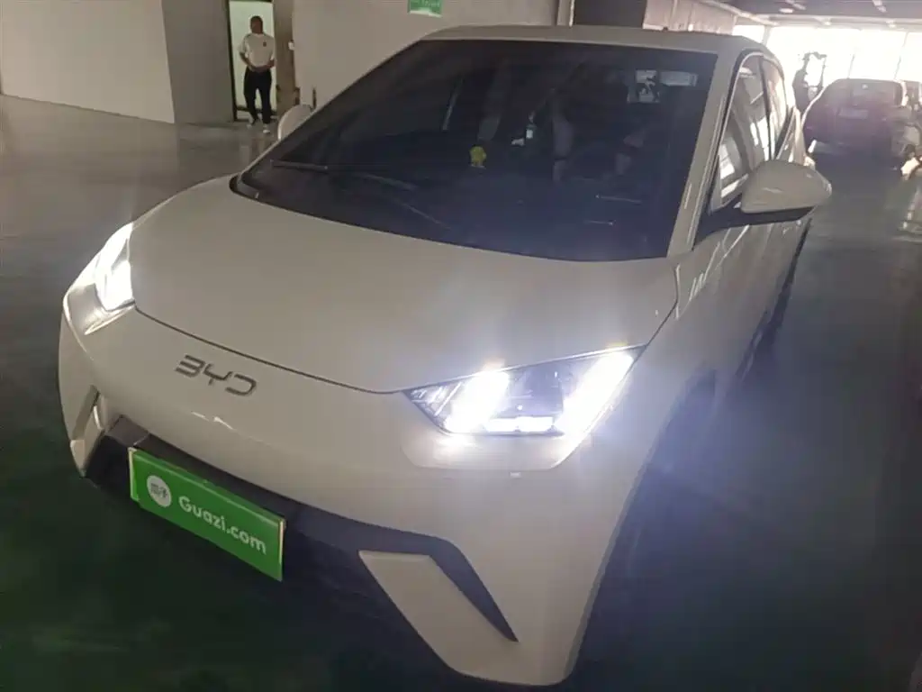 Byd Seagull 2024