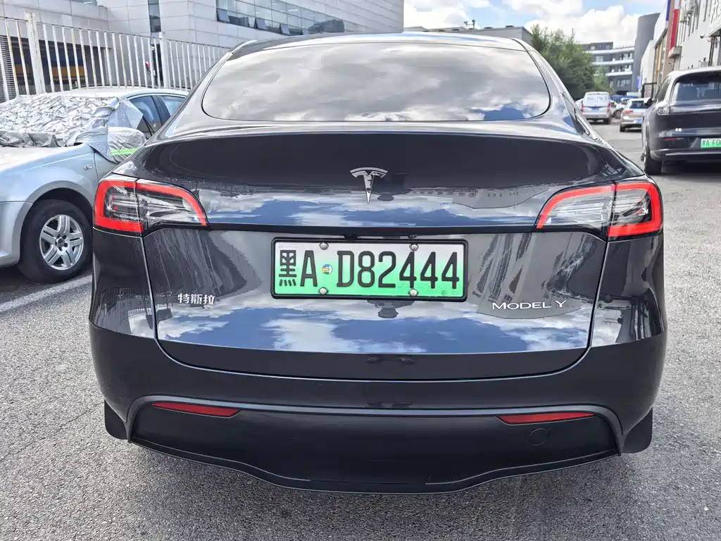 Tesla Model Y — миниатюра 5