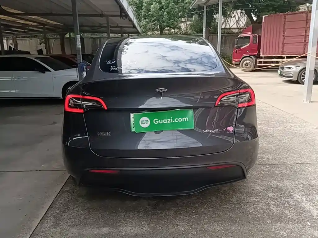 Tesla Model Y — миниатюра 6