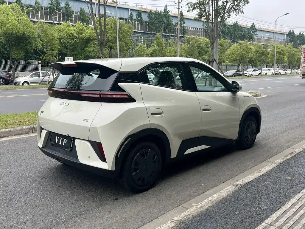 BYD Seagull 2025 Smart Drive 305km