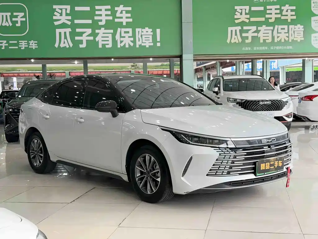 BYD Destroyer 05 — миниатюра 3